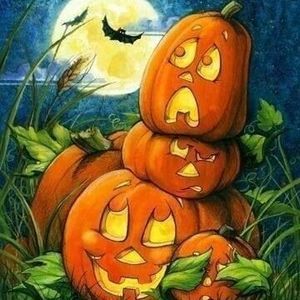 Meet your Posher, Barb